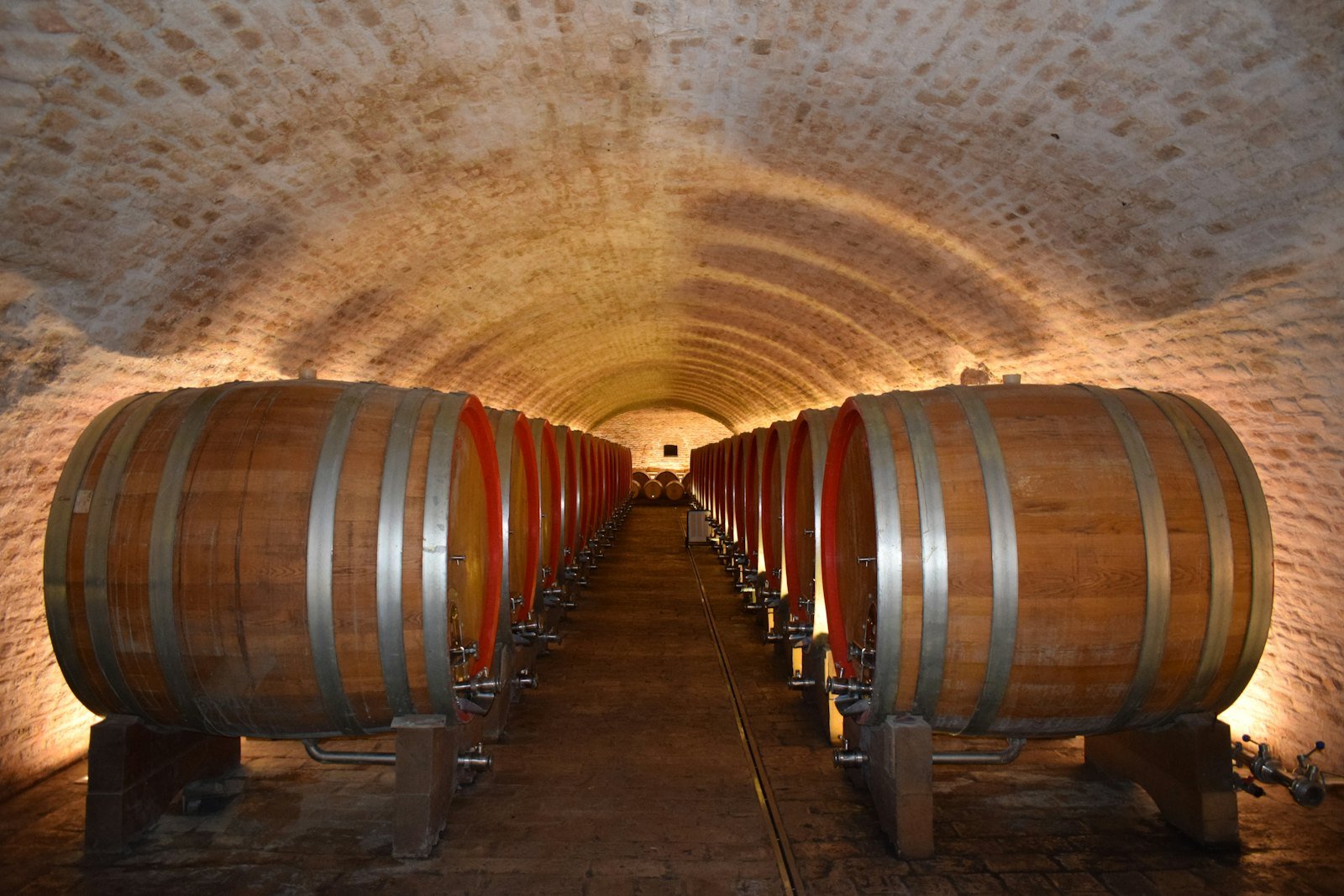 Longue enfilade de fûts dans le chai voûté du domaine
